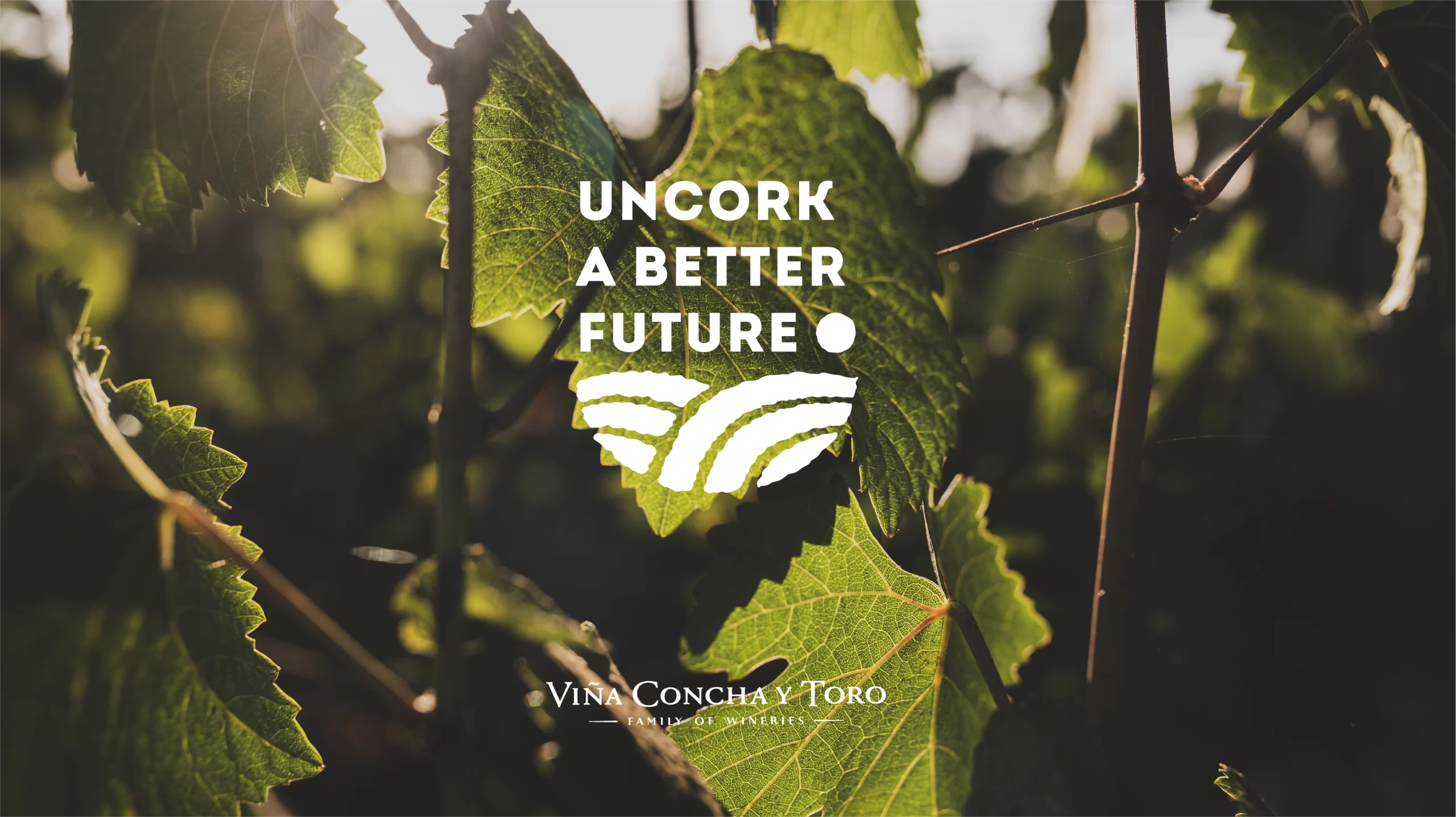uncork 2@3x