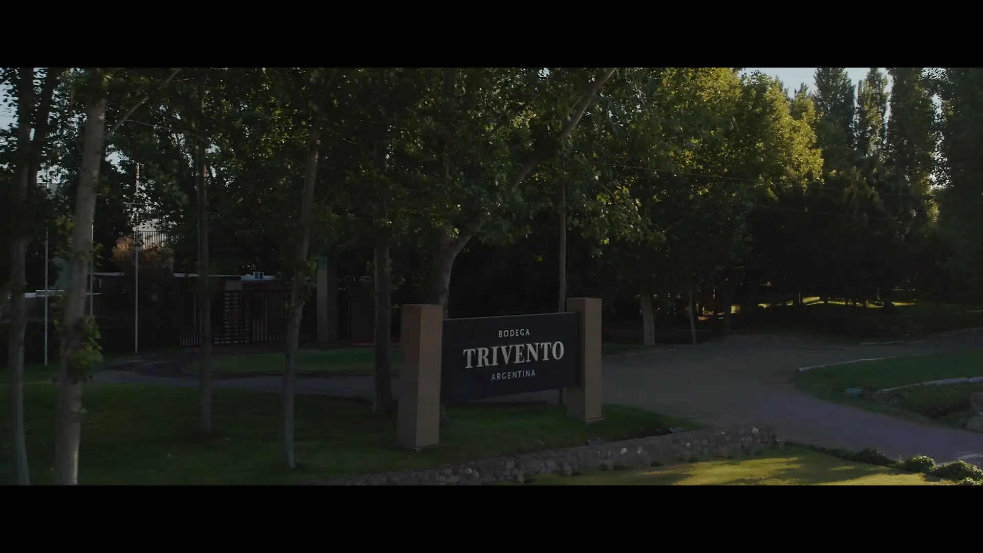 Somos-Trivento-3